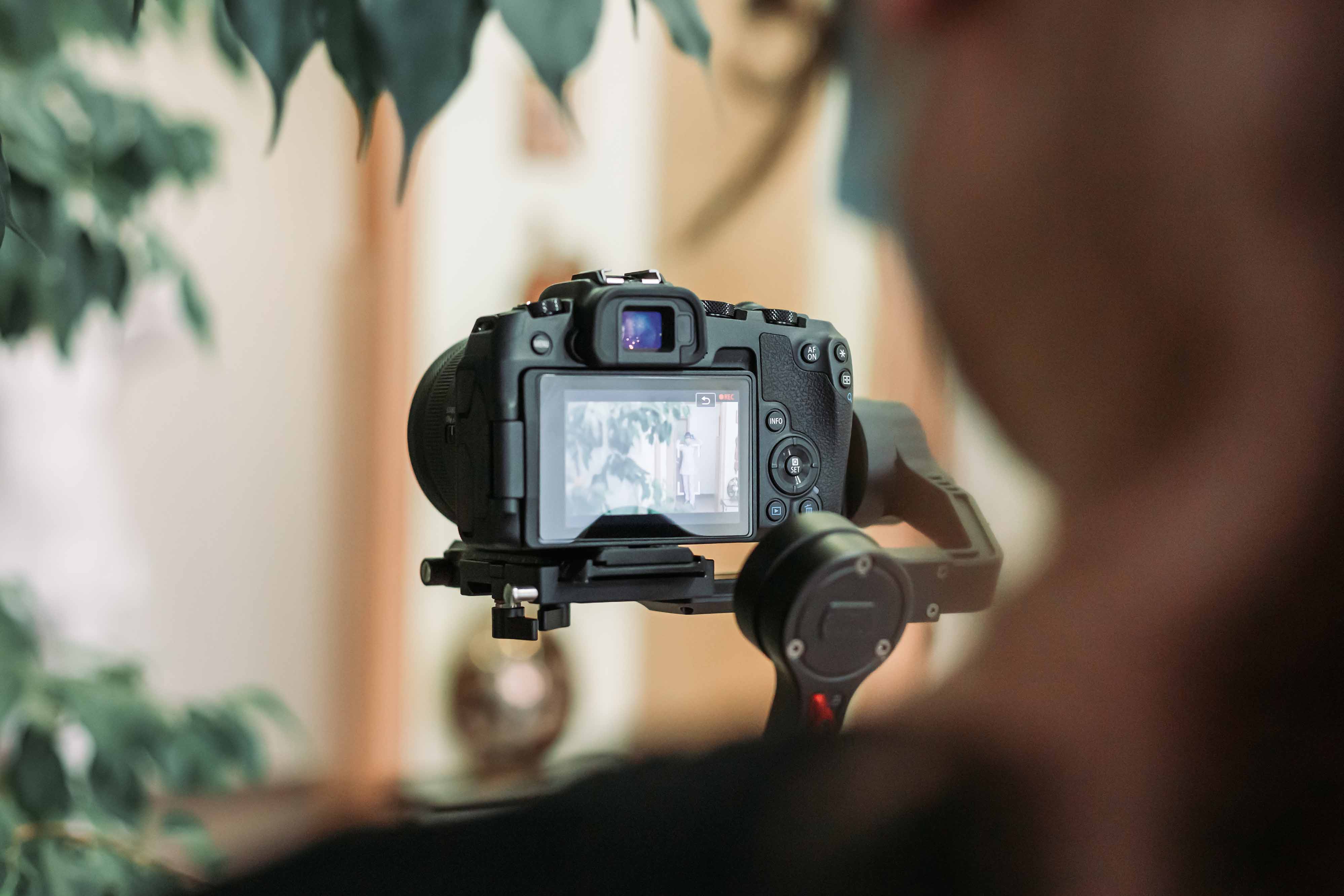 Beschreibung des Bildes